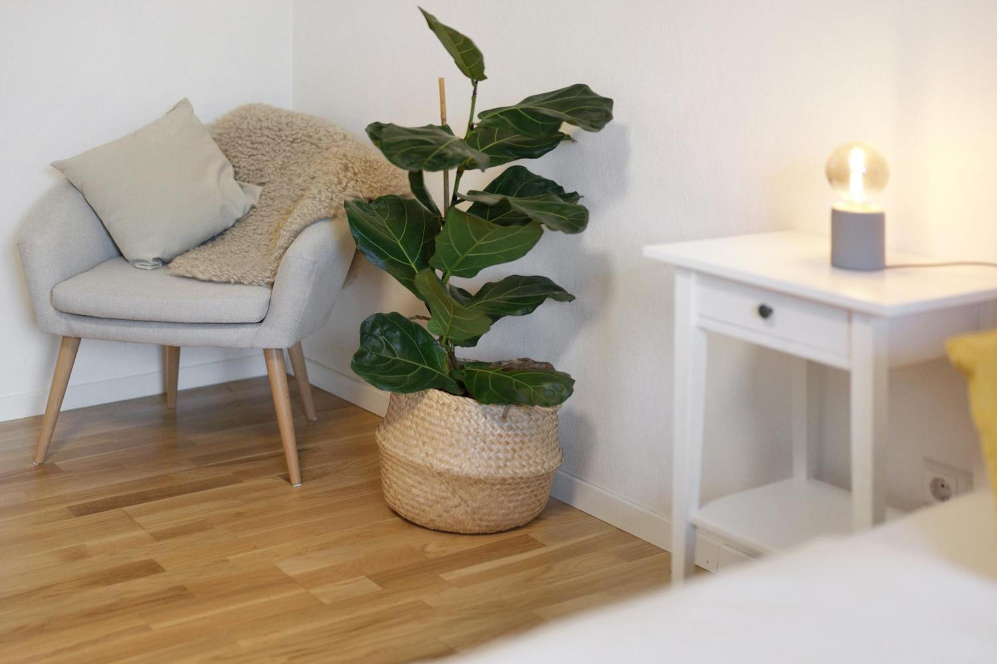 Ferienwohnung Obsthof Fiess Oberkirch  Exterior photo